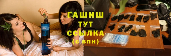 гидра Инта