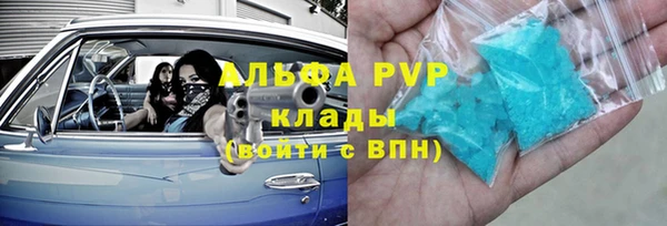 сатива Инсар