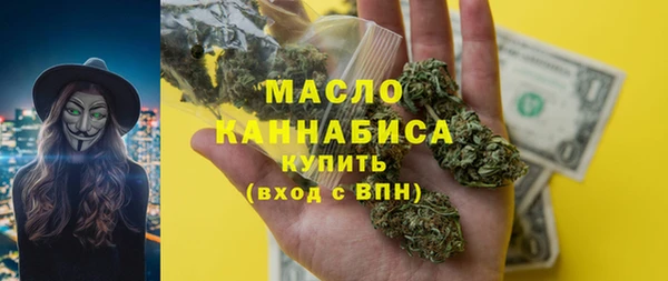 гидра Инта