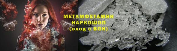 гидра Инта