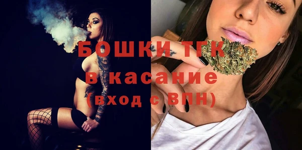 гидропоника Иннополис