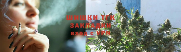 гидропоника Иннополис