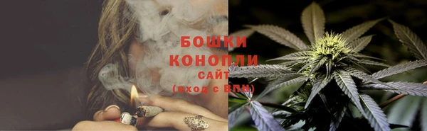 гидра Инта