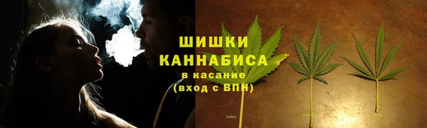 сатива Инсар