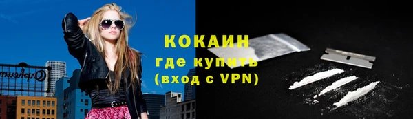сатива Инсар