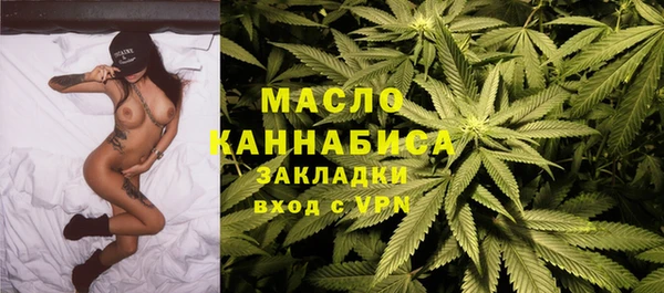 сатива Инсар