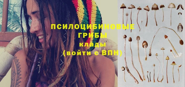 сатива Инсар