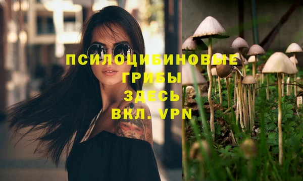 сатива Инсар