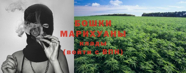 сатива Инсар