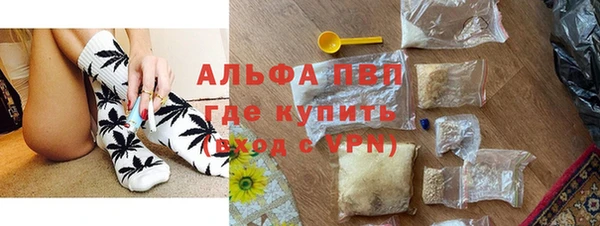 сатива Инсар