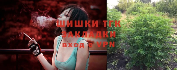 гидропоника Иннополис