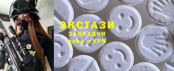 гидра Инта