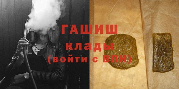 гидра Инта