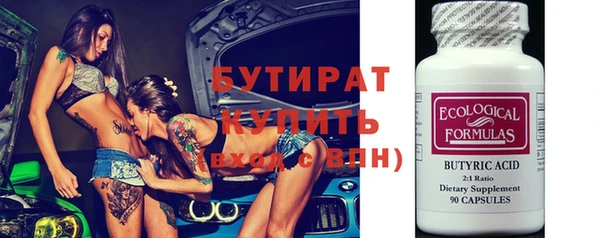 гидра Инта