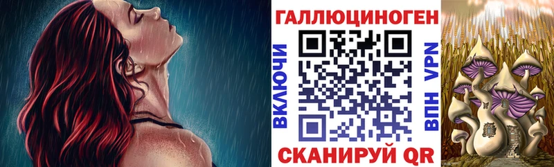 Купить  Юрьев-Польский  Псилоцибиновые грибы ЛСД 